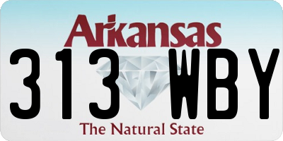 AR license plate 313WBY