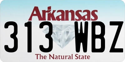 AR license plate 313WBZ