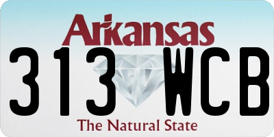 AR license plate 313WCB