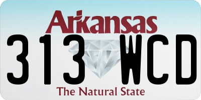 AR license plate 313WCD