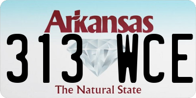 AR license plate 313WCE