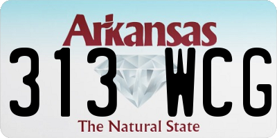 AR license plate 313WCG