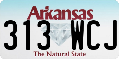AR license plate 313WCJ