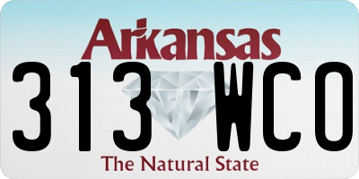 AR license plate 313WCO