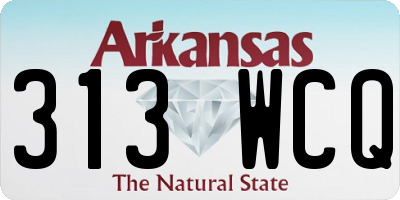 AR license plate 313WCQ