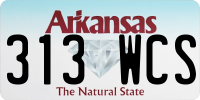 AR license plate 313WCS