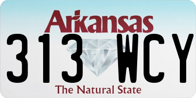 AR license plate 313WCY