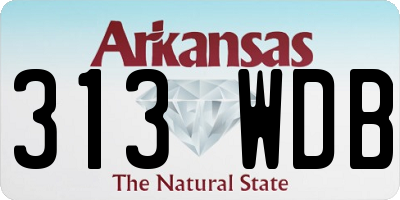 AR license plate 313WDB