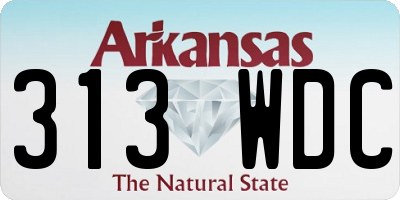 AR license plate 313WDC