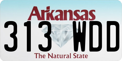 AR license plate 313WDD