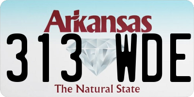 AR license plate 313WDE