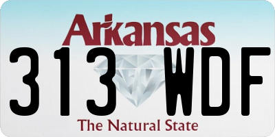 AR license plate 313WDF
