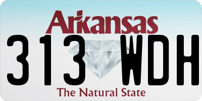 AR license plate 313WDH
