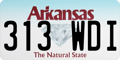 AR license plate 313WDI