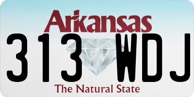 AR license plate 313WDJ