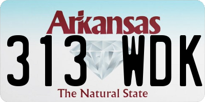 AR license plate 313WDK