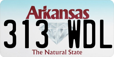 AR license plate 313WDL