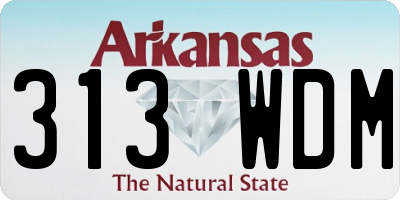 AR license plate 313WDM
