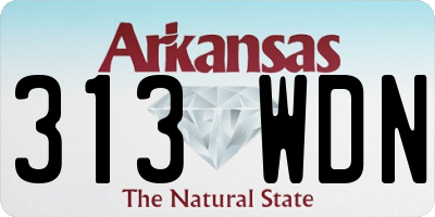AR license plate 313WDN