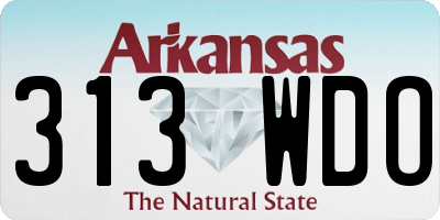 AR license plate 313WDO