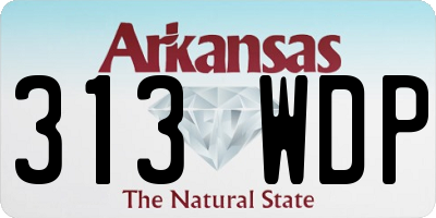 AR license plate 313WDP