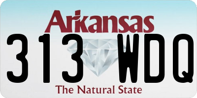 AR license plate 313WDQ