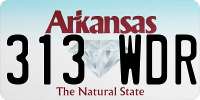 AR license plate 313WDR