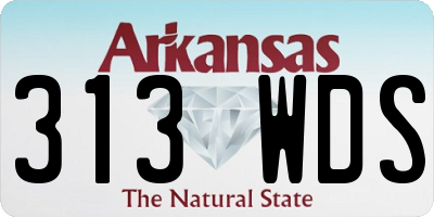 AR license plate 313WDS