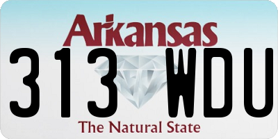 AR license plate 313WDU