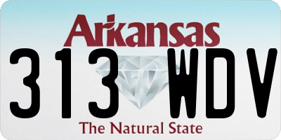 AR license plate 313WDV