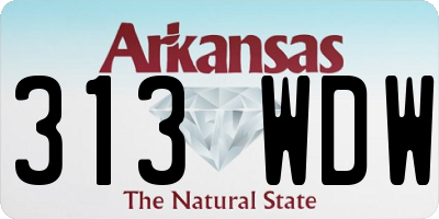 AR license plate 313WDW