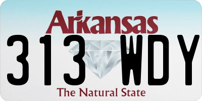 AR license plate 313WDY