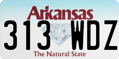 AR license plate 313WDZ
