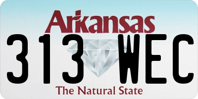 AR license plate 313WEC