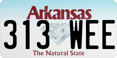 AR license plate 313WEE