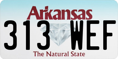 AR license plate 313WEF