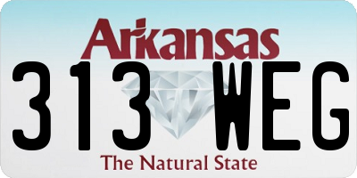 AR license plate 313WEG