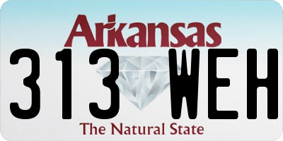 AR license plate 313WEH
