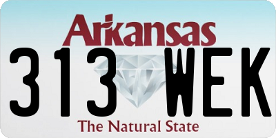 AR license plate 313WEK