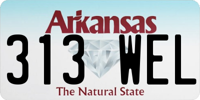 AR license plate 313WEL