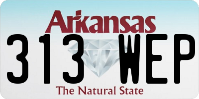AR license plate 313WEP
