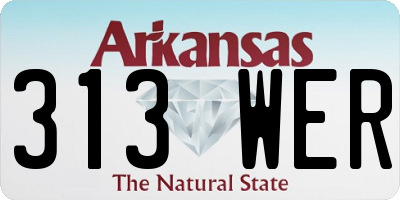 AR license plate 313WER