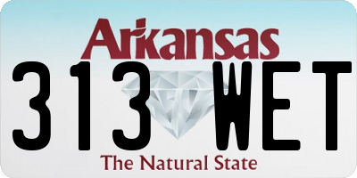 AR license plate 313WET