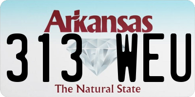 AR license plate 313WEU