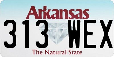 AR license plate 313WEX