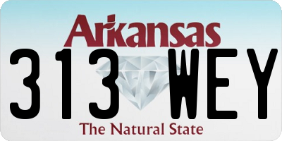 AR license plate 313WEY