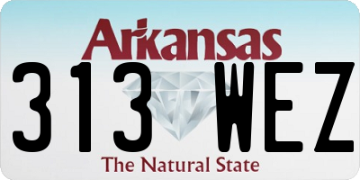 AR license plate 313WEZ