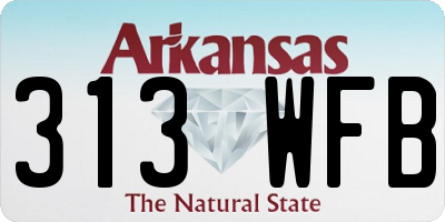 AR license plate 313WFB