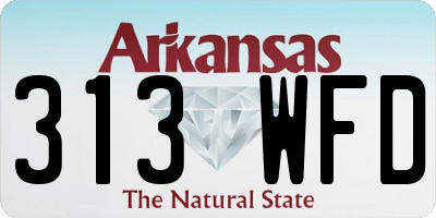 AR license plate 313WFD