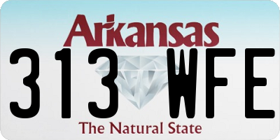 AR license plate 313WFE